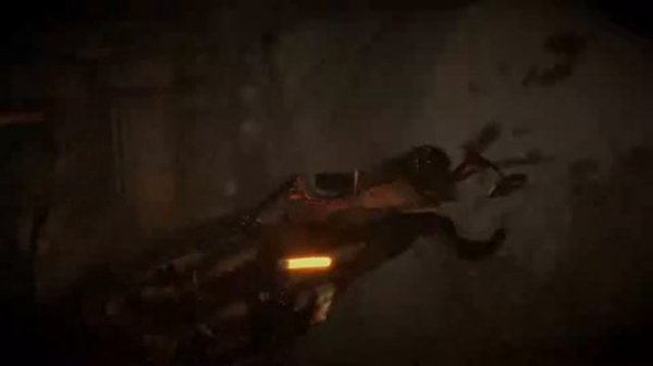 Лариса в стране чудес