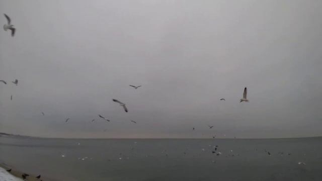 20201222 135600 смотреть онлайн