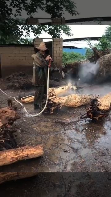 Лучшие ремесла|Величайшие изделия из дерева в мире| #ремесло#short смотреть онлайн