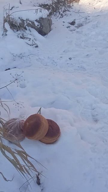чёрный хлеб уткам смотреть онлайн