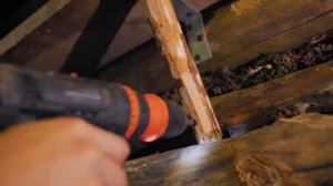 24 ЧАСА В КРУГЛОМ ДОМИКЕ НА ДЕРЕВЕ!!