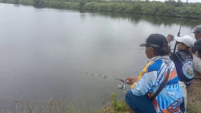 kolam bang Tamam/bekas kolam jevri kampung nelayan 13 NOV 2022 смотреть онлайн