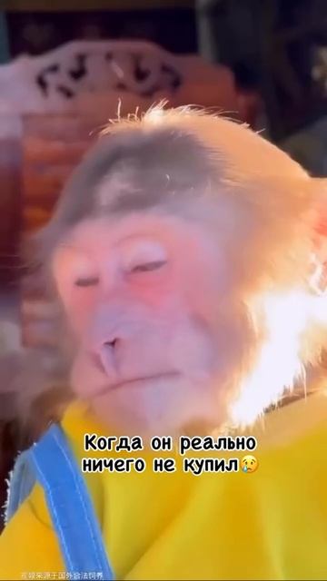 Ох уж эти мужчины! смотреть онлайн