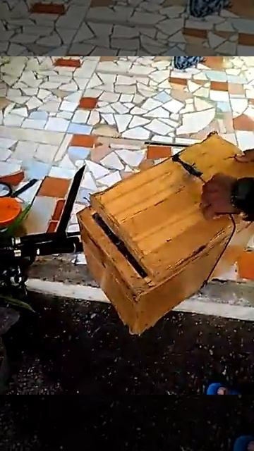 Mancing cumi смотреть онлайн