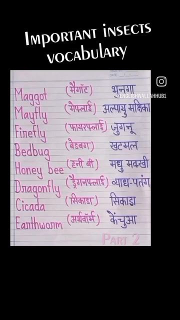 important insects vocabulary |#shorts #english #trending #trendingshorts #viral #daily #short смотреть онлайн