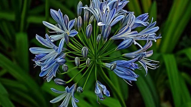 Самая красивая русская песня и видео 2015 года смотреть онлайн