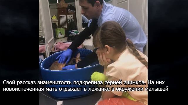 "Роды длились 10 часов": Александрова поведала о пополнении в семействе смотреть онлайн