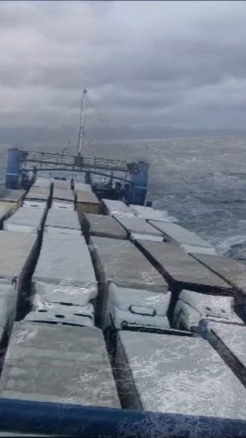 На пароме: Лучший способ провести день смотреть онлайн