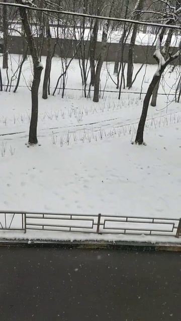 этим жарким летом хочется немножко снега🌞🌨️ смотреть онлайн