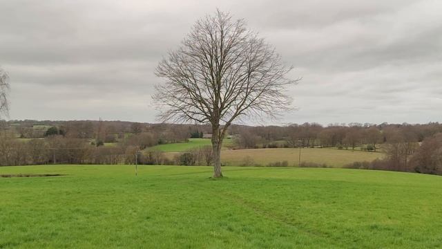 LOMOMATIC 110 - A Brand New Film Camera By Lomography