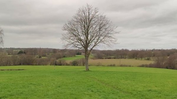 LOMOMATIC 110 - A Brand New Film Camera By Lomography