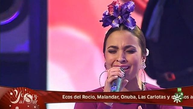 Exconcursantes- Si no están los amigos- gala 26 Yo soy del sur смотреть онлайн