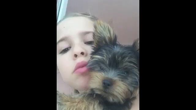 Моя собачка Ролекс смотреть онлайн