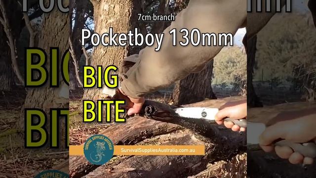 Silky Saw Test: Pocketboy 130mm and Katanaboy 650mm смотреть онлайн