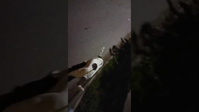Почти час ночи, захотела пройтись и Хора со мной смотреть онлайн