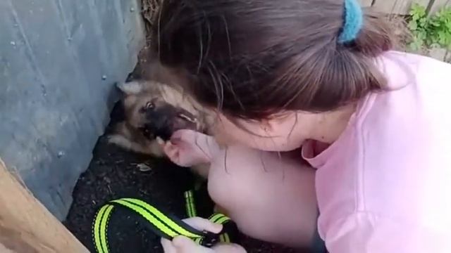 Прячемся с Луной ...Новый поводок.. смотреть онлайн