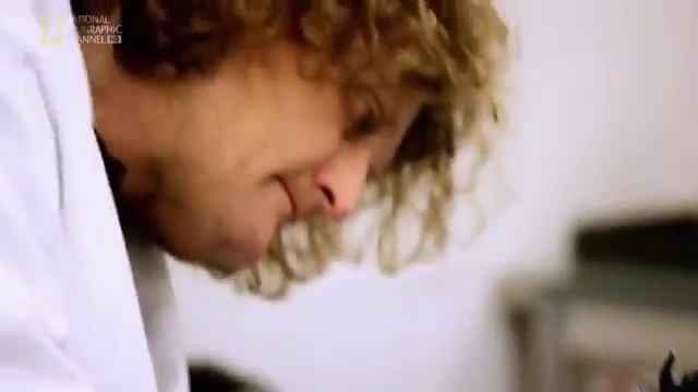 Мегазаводы Уильямс Ф 1 смотреть онлайн