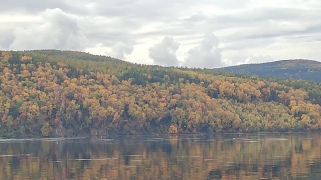 30.09.23 перешеек #перешеек #декастри #2023 #nature #осень #природа #море смотреть онлайн