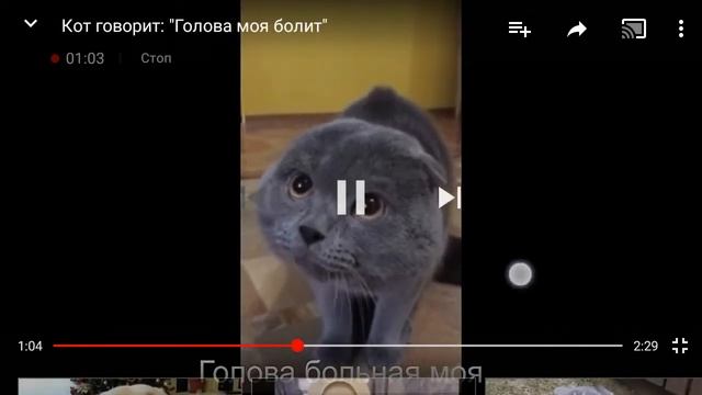 Голова болит перевочик ставь лайк смотреть онлайн