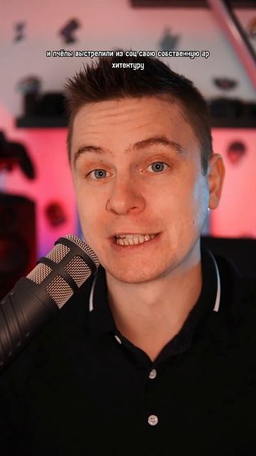 ПЧЕЛИНАЯ АРХИТЕКТУРА смотреть онлайн