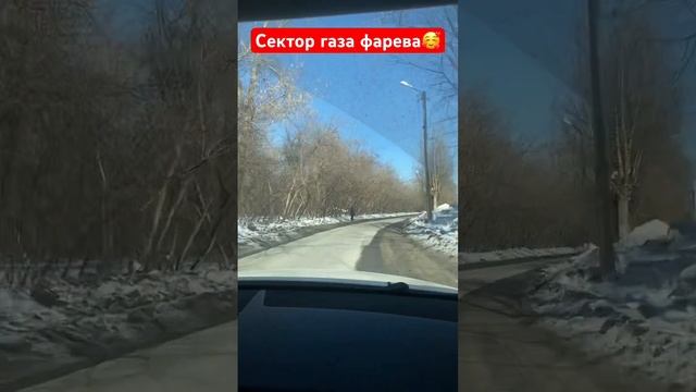 #секторгаза обожашки 🤣 #shortvideo #врек #каменскуральский смотреть онлайн