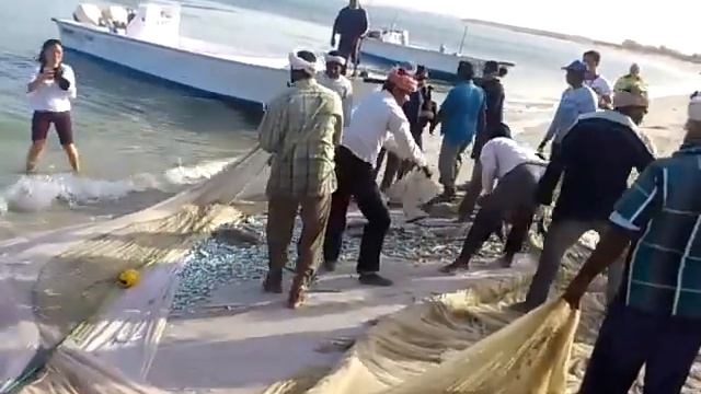 Скатоловы в Эмиратах смотреть онлайн