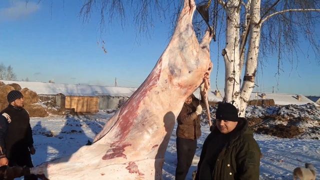 супер галимая мясо подписывайтесь на канал и ставьте лайк Пишите в комментариях мы будем рады вас к смотреть онлайн