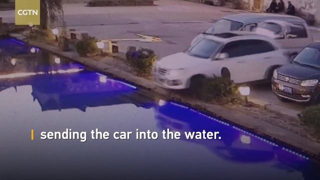 Dog accidentally drives its owner's car into a pond in China смотреть онлайн