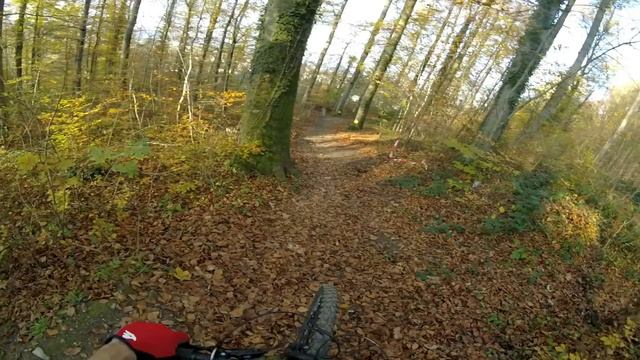 Flowtrail Weingarten part3 - black trail segment reopening soon -subtitled- смотреть онлайн