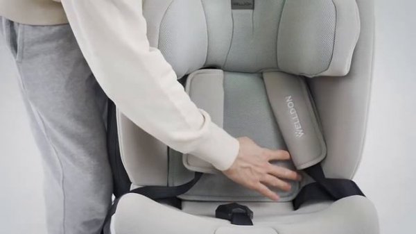 Автокресло Welldon Omni Penguin Fix