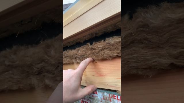 IMG_0488 смотреть онлайн