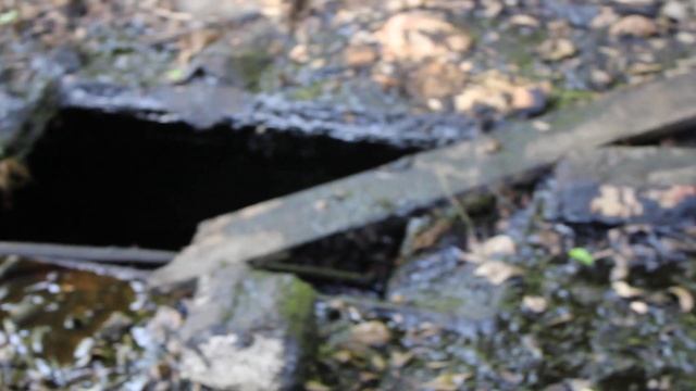 Разлившийся в Пролетарском районе мазут утилизируют смотреть онлайн