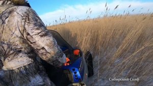 Снегоход arctic cat 660 Снегоход Артик Кет 660 турбо