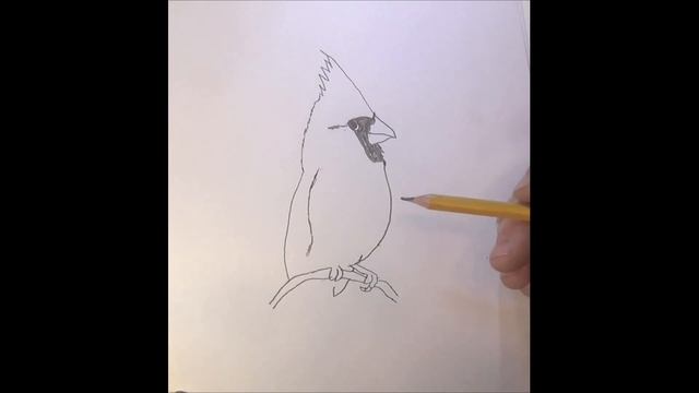 WoodCarving/How to Draw a Cardinal Pattern to Paint Or Wood Carve смотреть онлайн