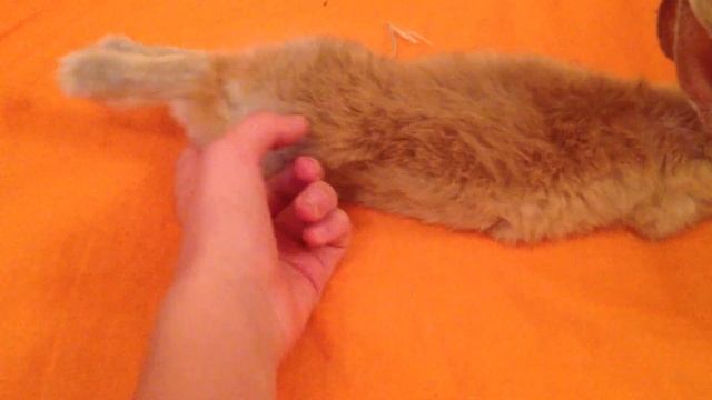 Кроля, лежать! смотреть онлайн