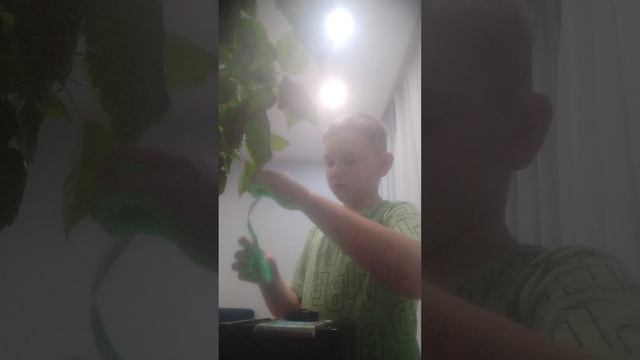 обзор на мою капилку смотреть онлайн