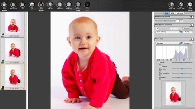 Canon Digital Photo Professional Tutorial - What is DPP (1/19) смотреть онлайн