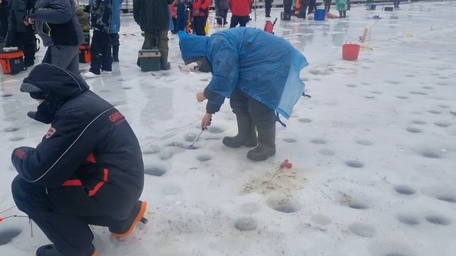 01-02-2025 смотреть онлайн