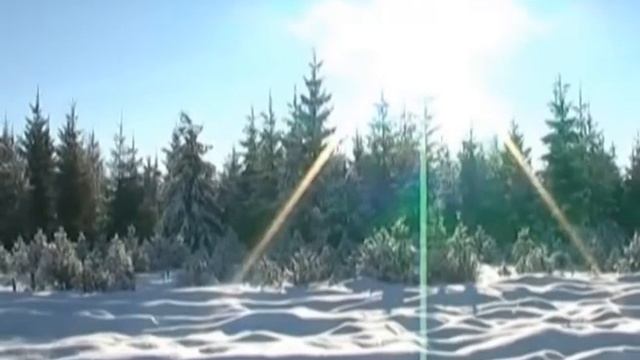 24 часа 02 12 2016 Не рубите елки! смотреть онлайн