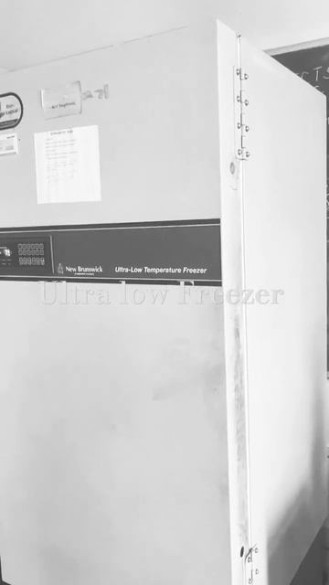 -70°C temperature of Utra Low Freezer | Required temperature for lab experiment of Ultra low freeze смотреть онлайн