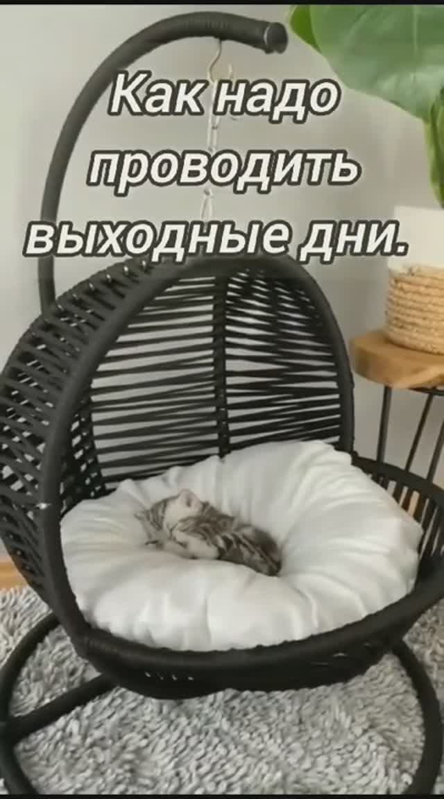 Как надо проводить выходные смотреть онлайн