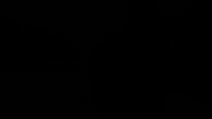 Zeny-Болен Трек 2024- 1-час