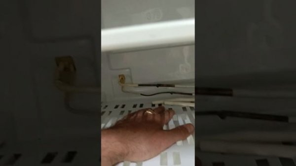 холодильник лджи не морозит