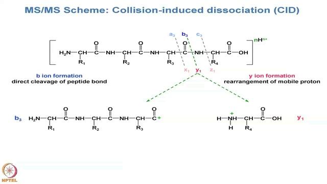 Lecture 14 : Introduction to MS-based Proteomics - I смотреть онлайн