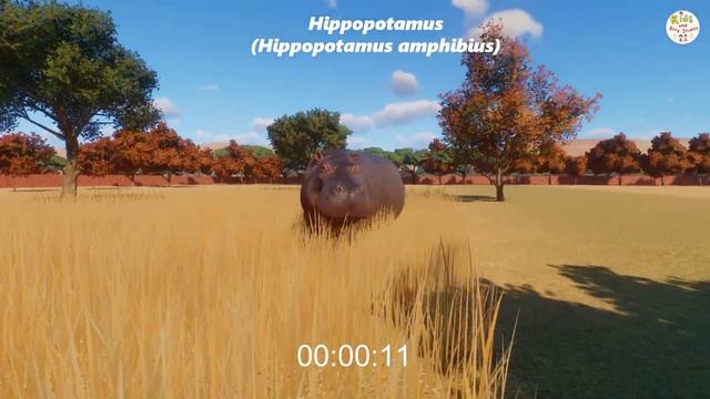 HIPPOPOTAMUS, HIMALAYA BROWN BEAR, PLAINS ZEBRA, SPOTTED HYENA, SURVIVE THEIR LIFE/PLANET ZOO RACES смотреть онлайн