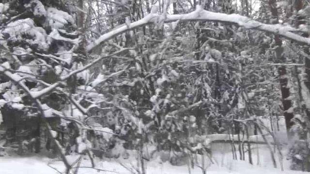 Зимний путь. Музыка Сергея Чекалина