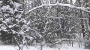 Зимний путь. Музыка Сергея Чекалина