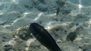 ВОДНЫЙ МИР 2 ЧАСТЬ