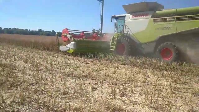 Žatva 2022|3x Claas Lexion|2x New Holland|Case Optum 300|SPD Veselé смотреть онлайн