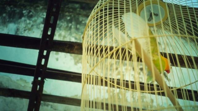 Senyawa Alam | #ProjectPassion by Erix & Heruwa смотреть онлайн